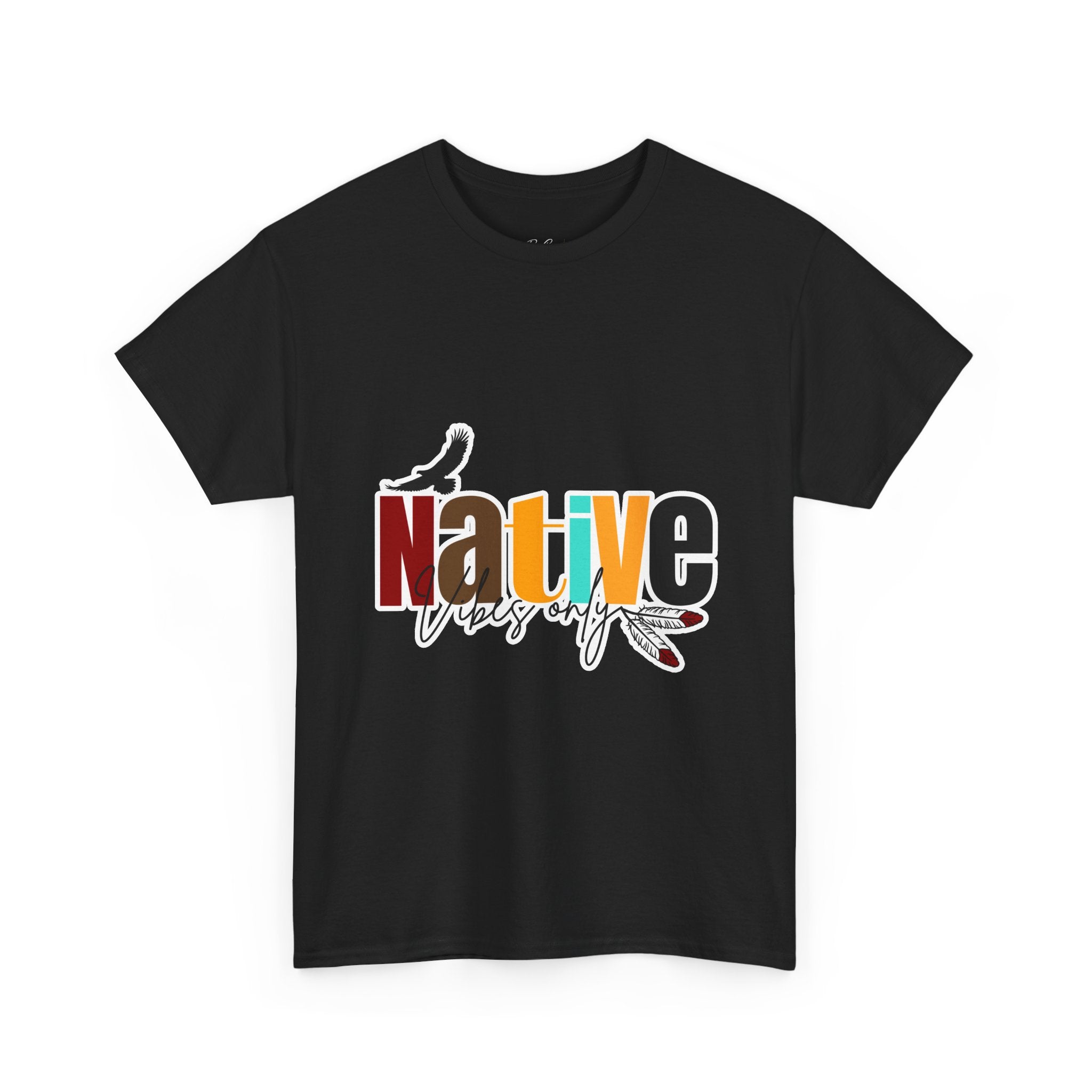 Native Vibes Tee — Colorful 'Native' Graphic T‑Shirt with Feathers & Birds